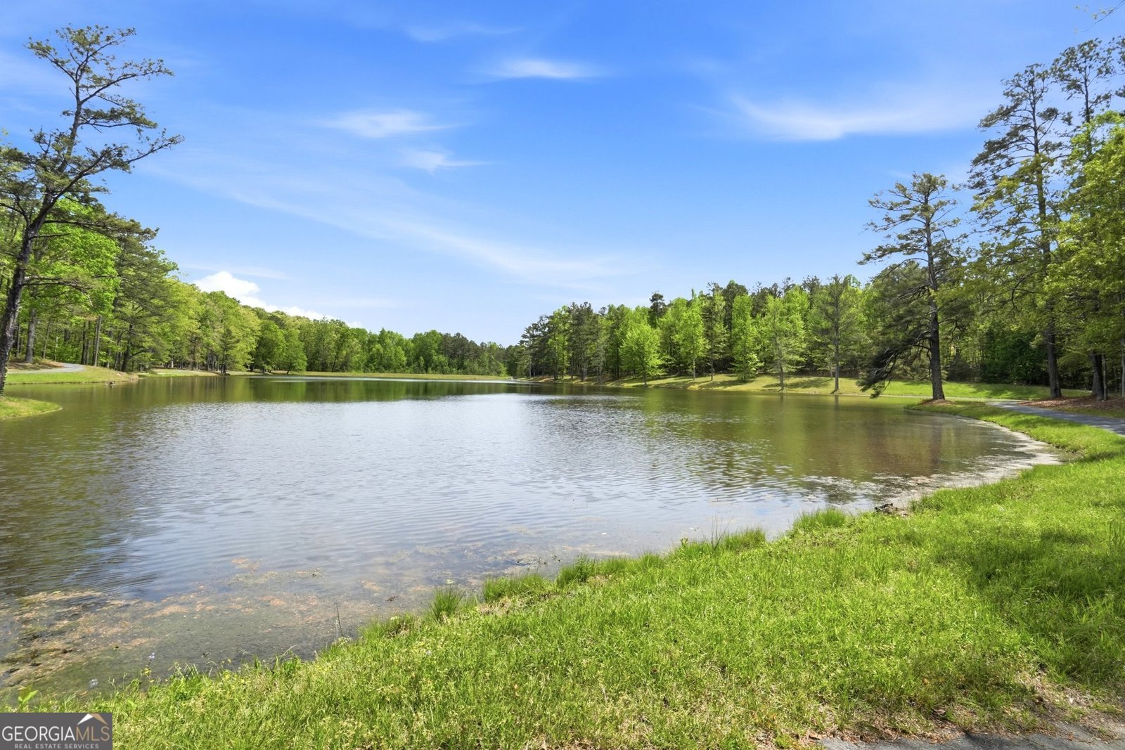 8340 Nolandwood Lane Villa Rica - Photo 44