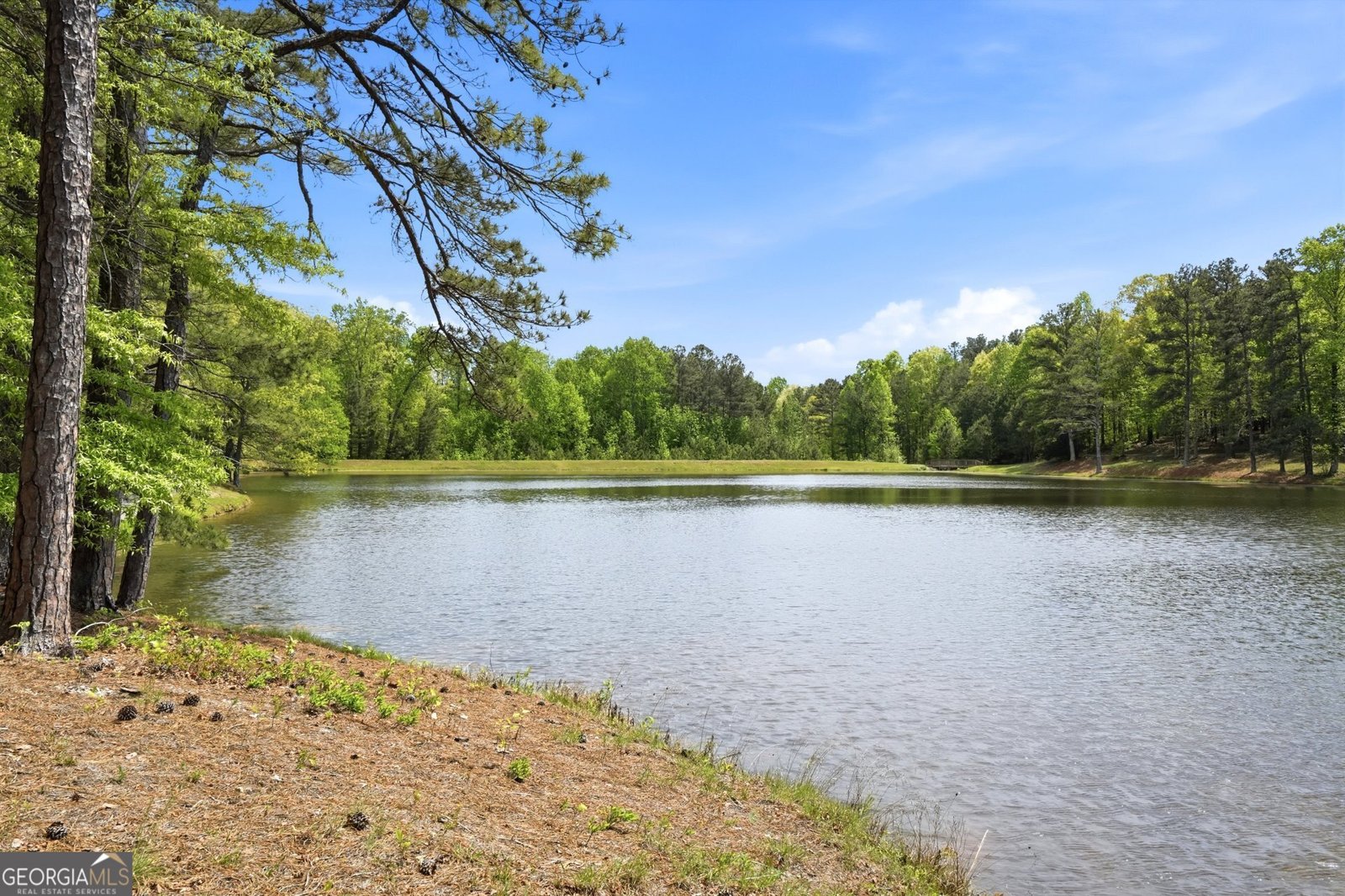 8340 Nolandwood Lane Villa Rica - Photo 45