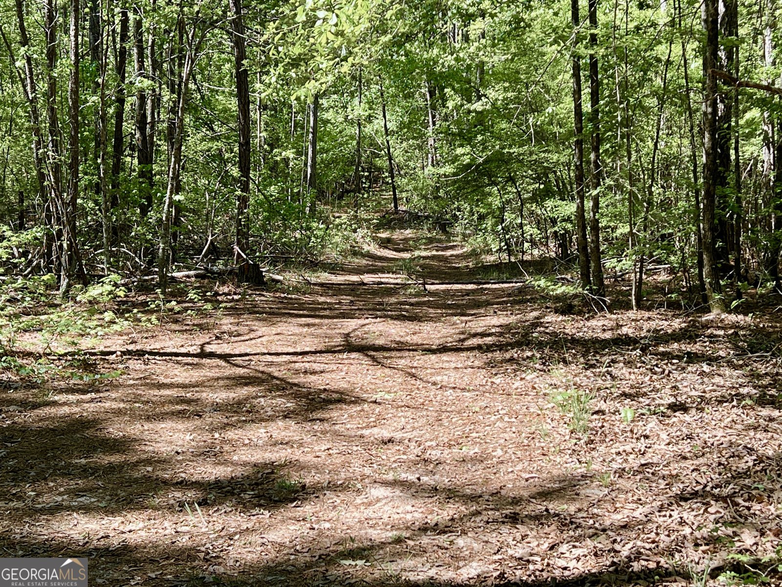 486 Sweetwater Bend Villa Rica - Photo 33