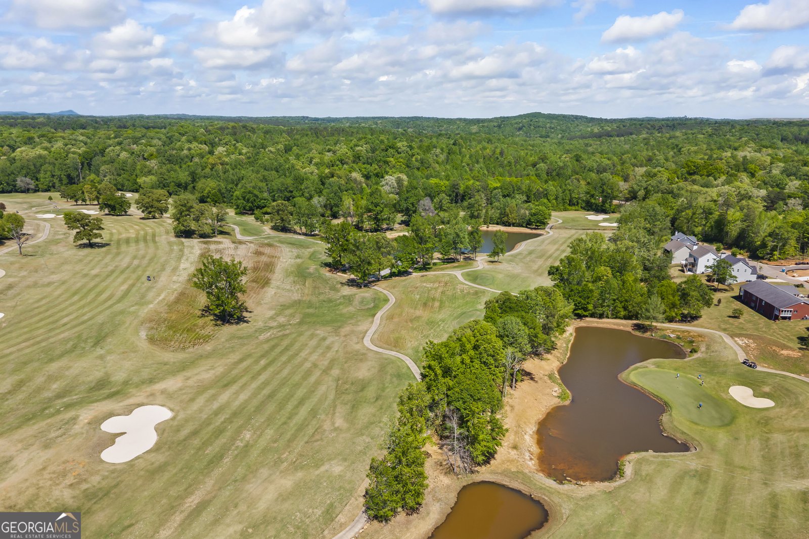 124 Magnolia Place Homer - Photo 31