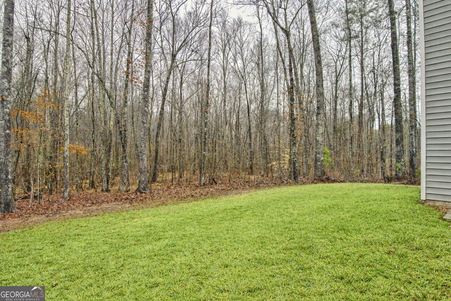 370 Cassidy Trail Douglasville - Photo 36