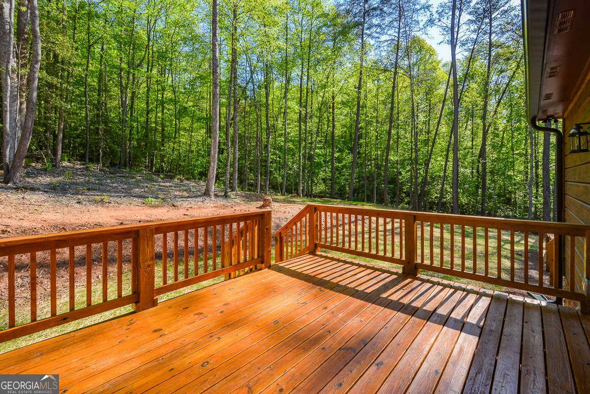 258 Rocky Hollow Road Ellijay - Photo 40