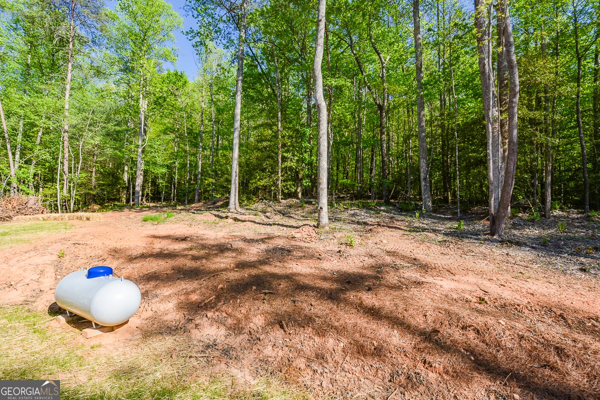 258 Rocky Hollow Road Ellijay - Photo 41