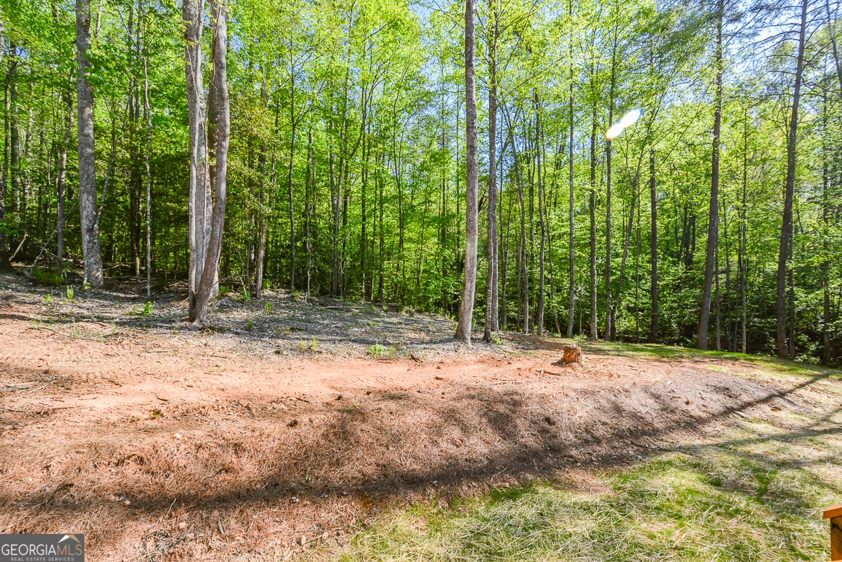 258 Rocky Hollow Road Ellijay - Photo 42