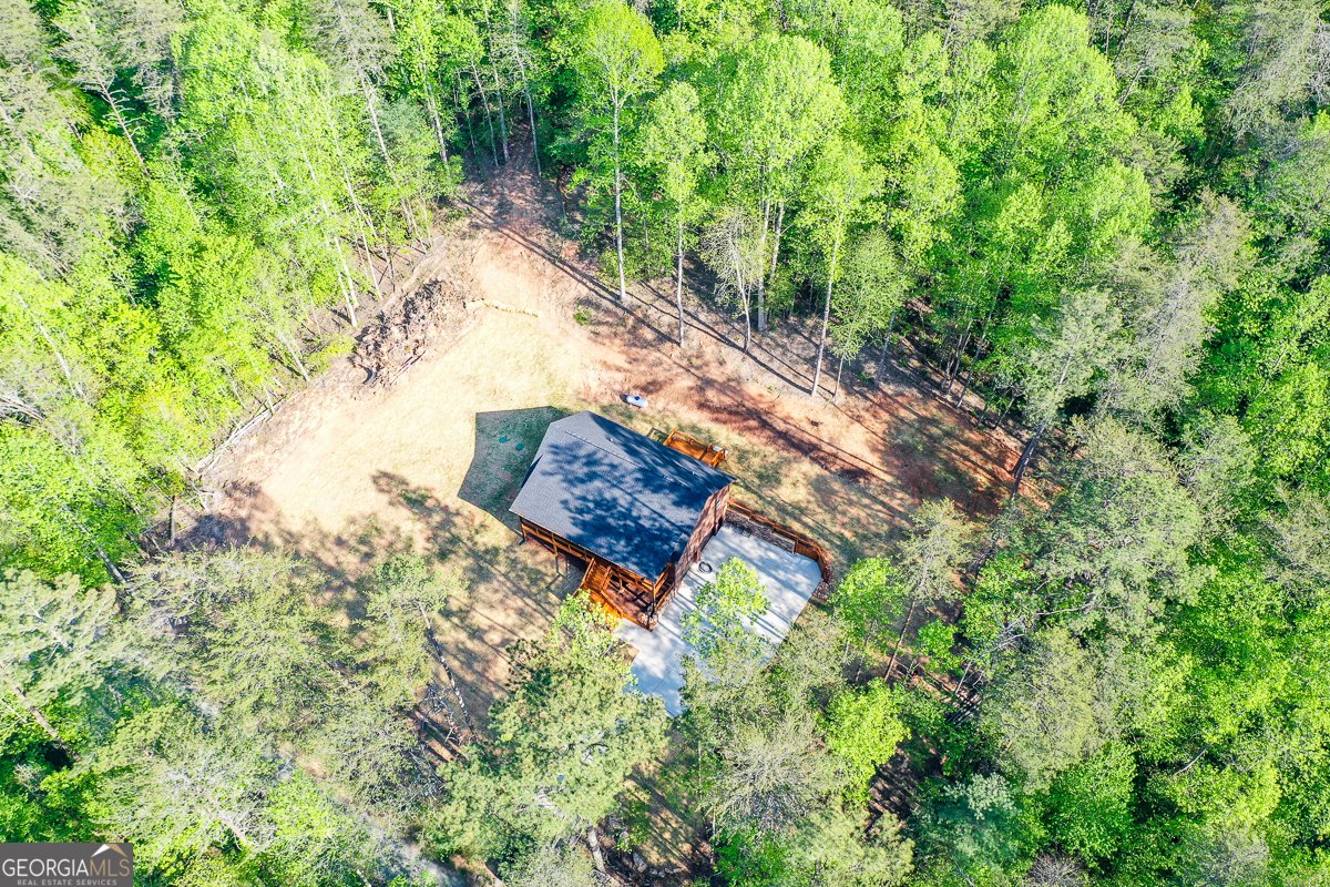 258 Rocky Hollow Road Ellijay - Photo 50