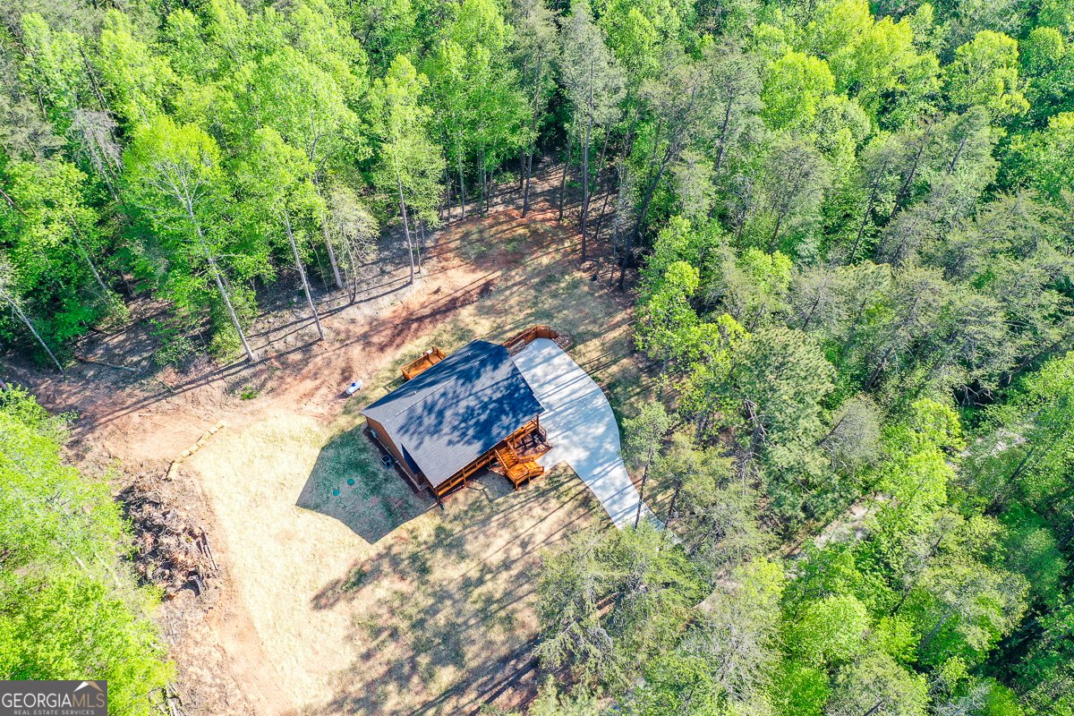 258 Rocky Hollow Road Ellijay - Photo 51