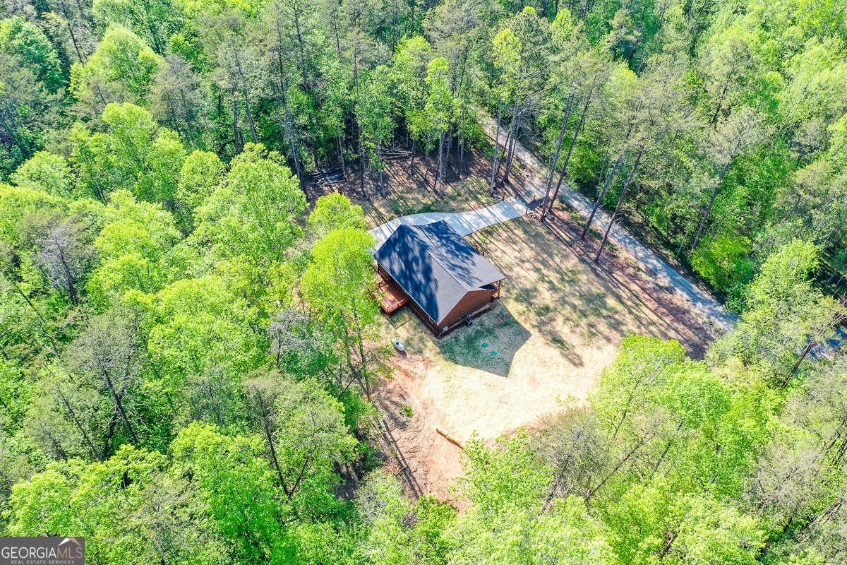 258 Rocky Hollow Road Ellijay - Photo 53