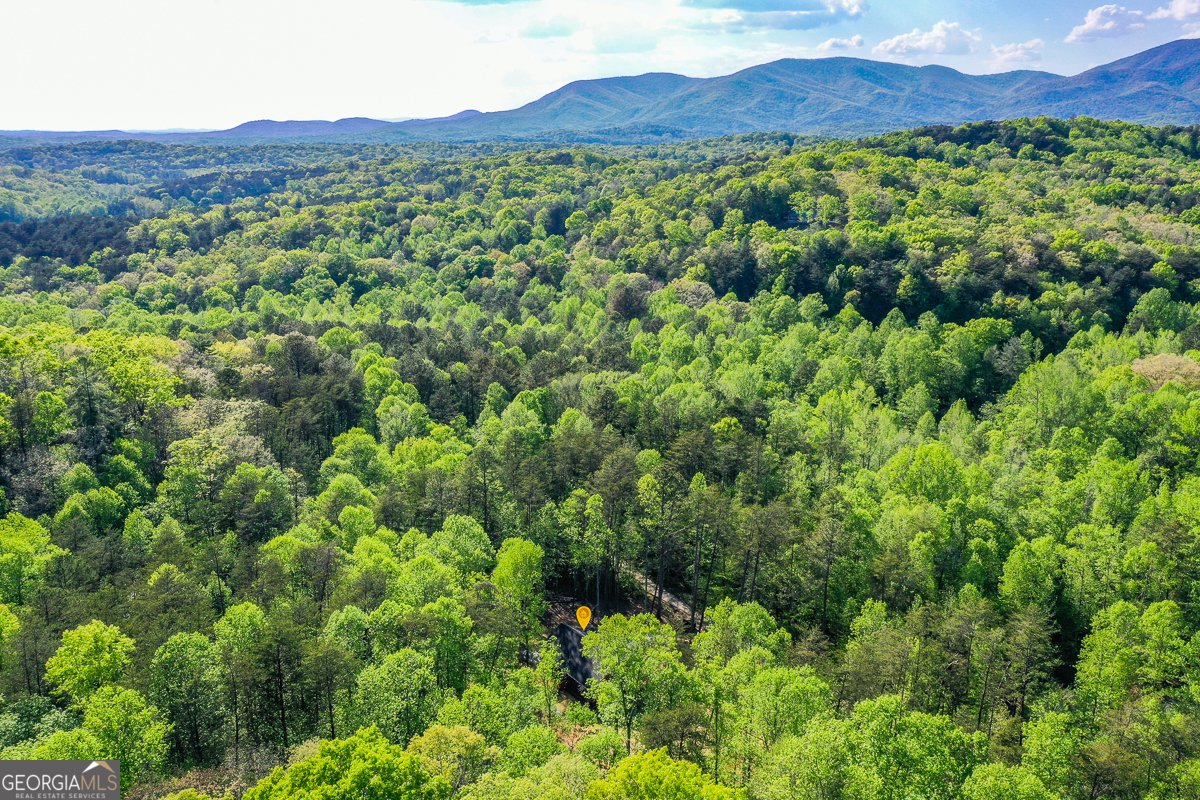 258 Rocky Hollow Road Ellijay - Photo 55