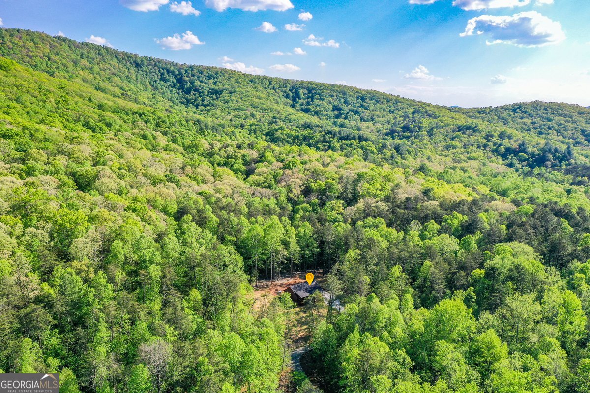 258 Rocky Hollow Road Ellijay - Photo 56
