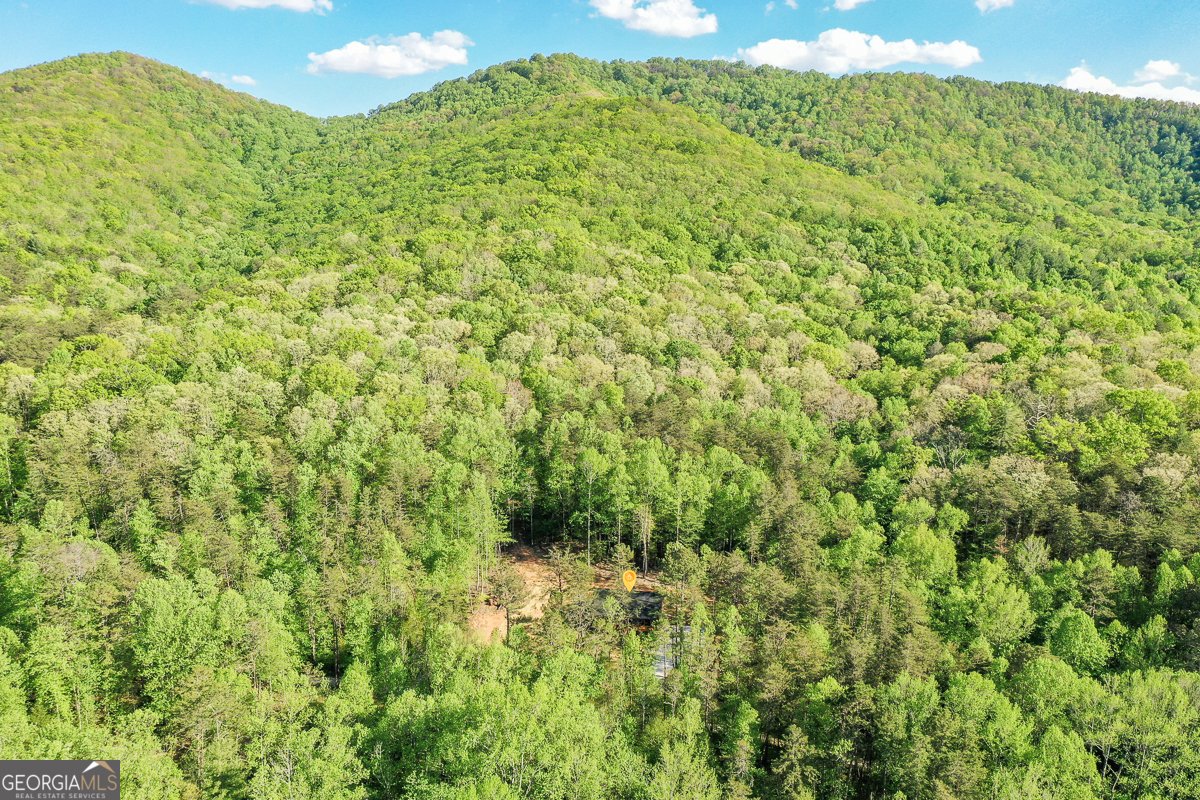 258 Rocky Hollow Road Ellijay - Photo 57