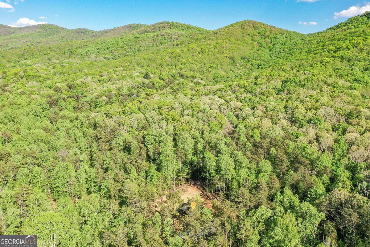 258 Rocky Hollow Road Ellijay - Photo 58