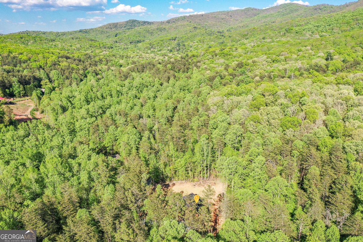 258 Rocky Hollow Road Ellijay - Photo 59