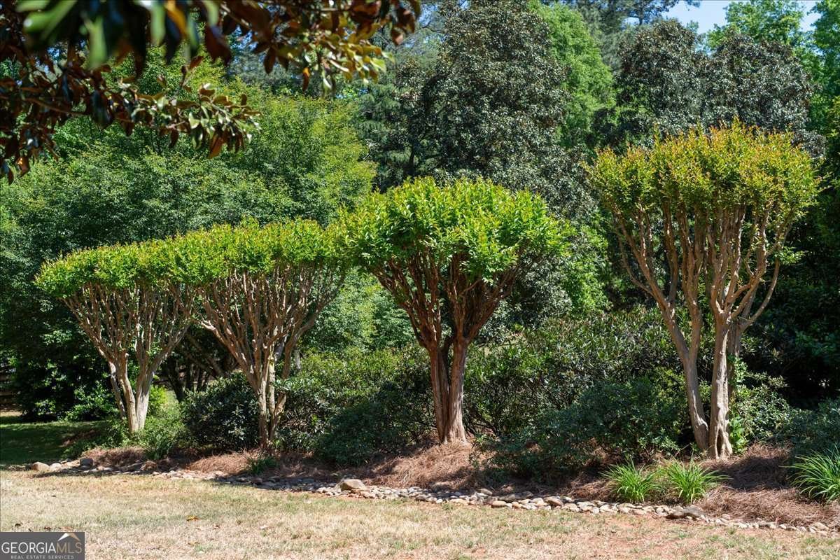 11045 Bowen Road Roswell - Photo 25