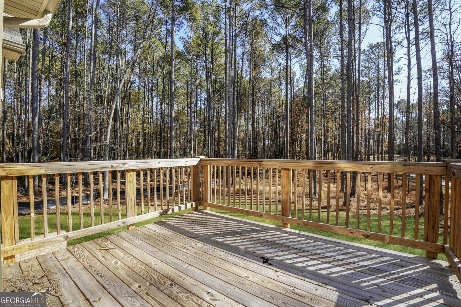 113 Shenandoah Lane LaGrange - Photo 9