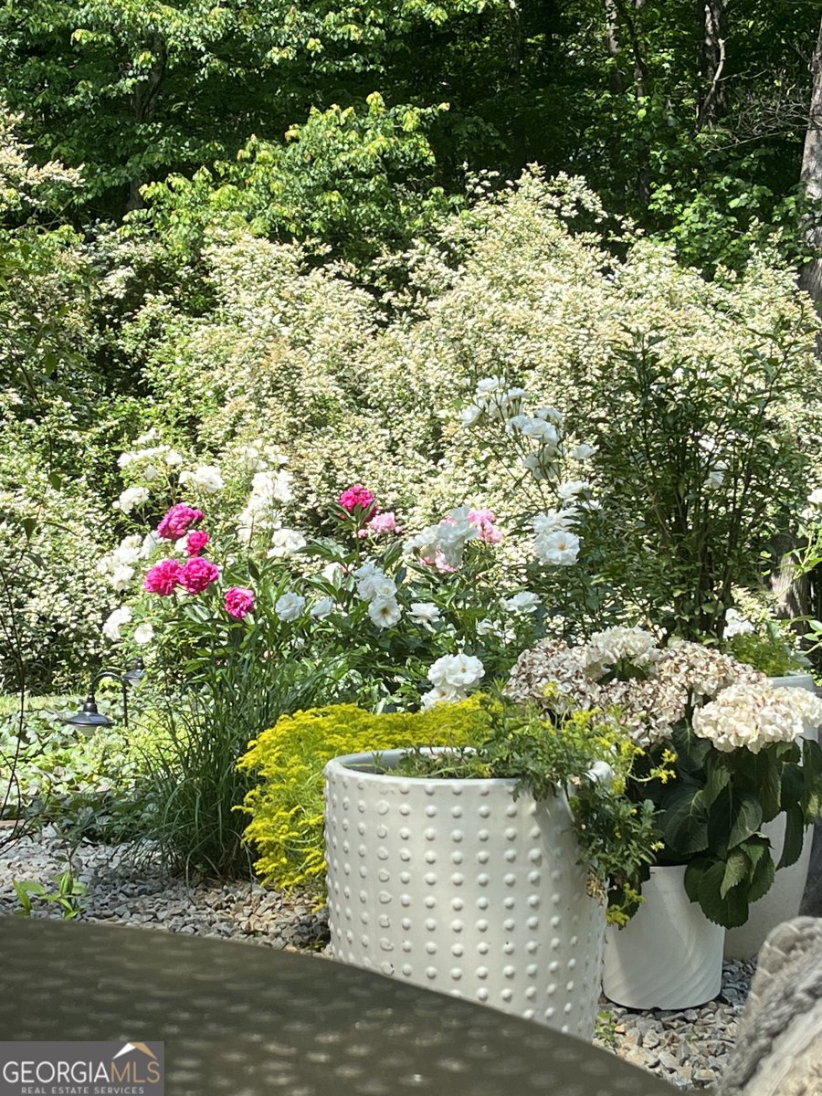 5775 Enchantress Lane Buford - Photo 23