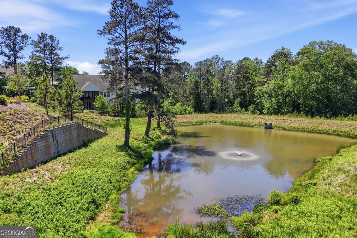 400 Grafton Walk Woodstock - Photo 41