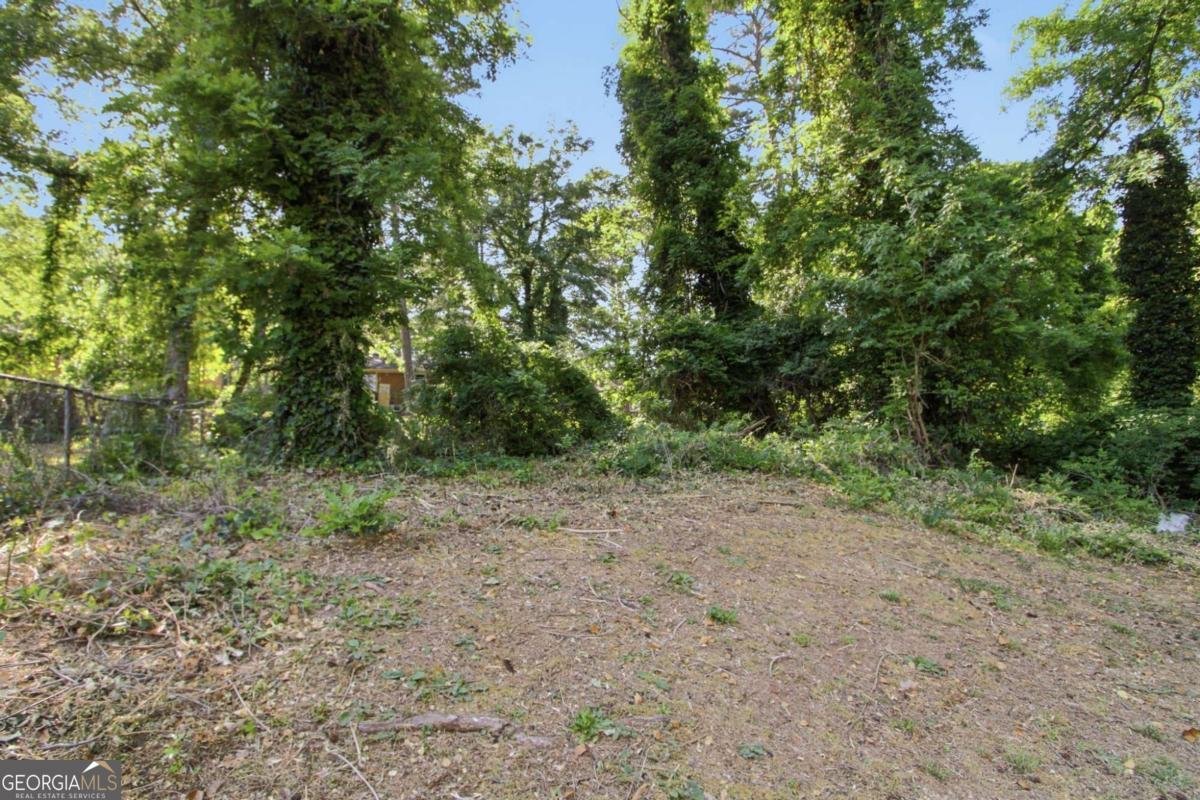 4813 Bartlett Road Forest Park - Photo 19