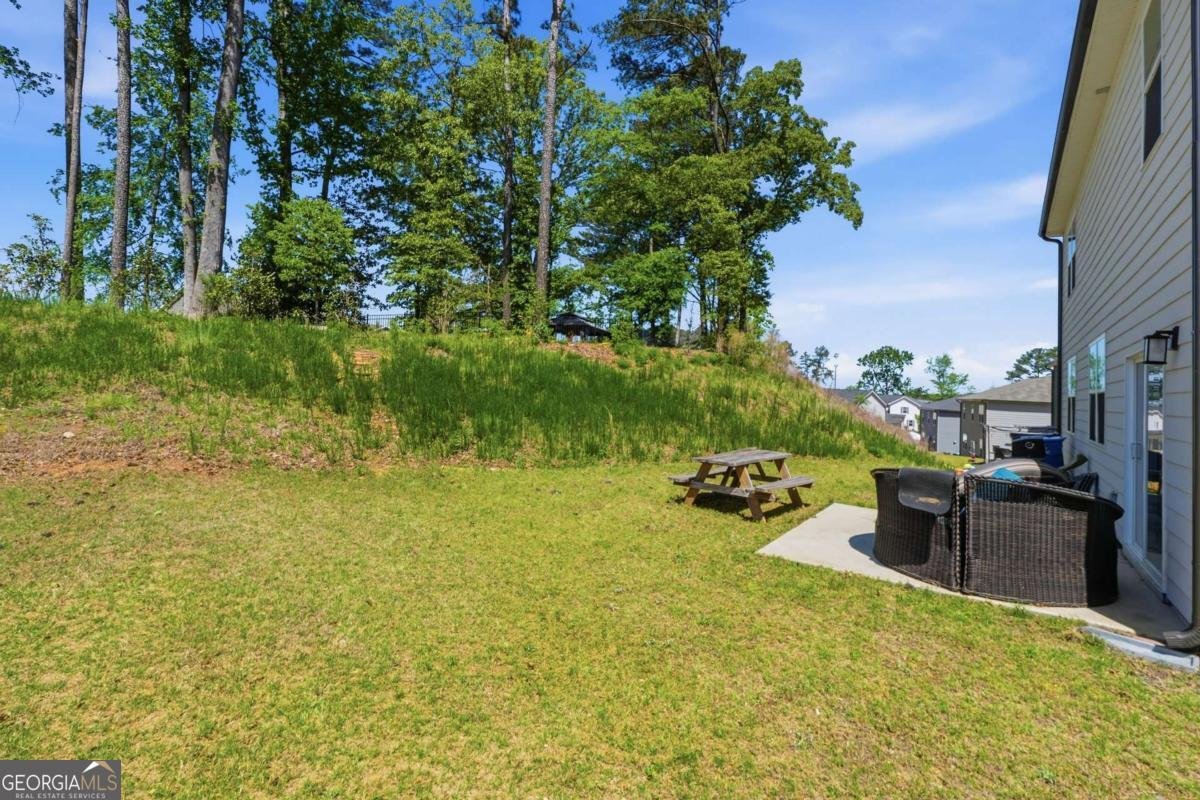 620 Cayenne Way Lawrenceville - Photo 25