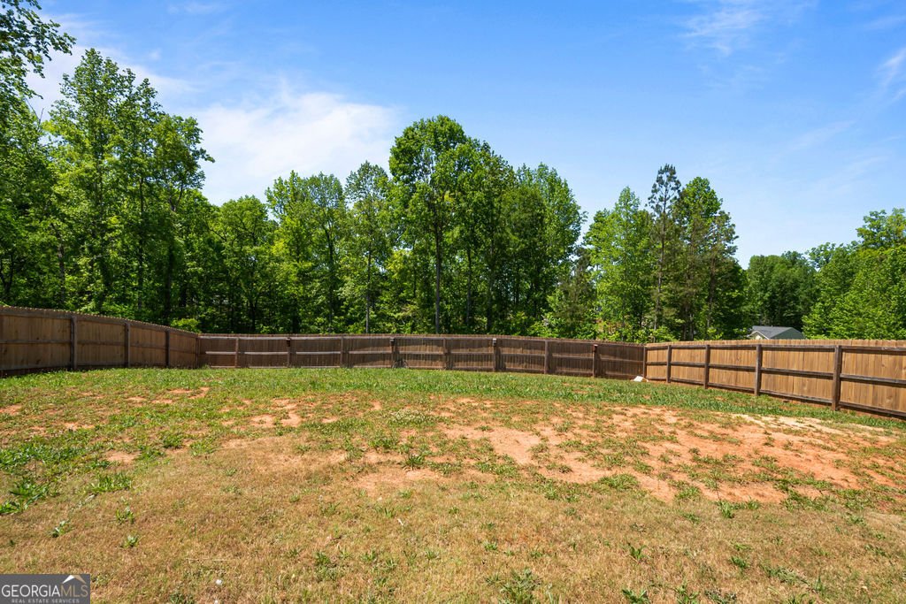 1888 Hunter Welch Parkway Luthersville - Photo 28