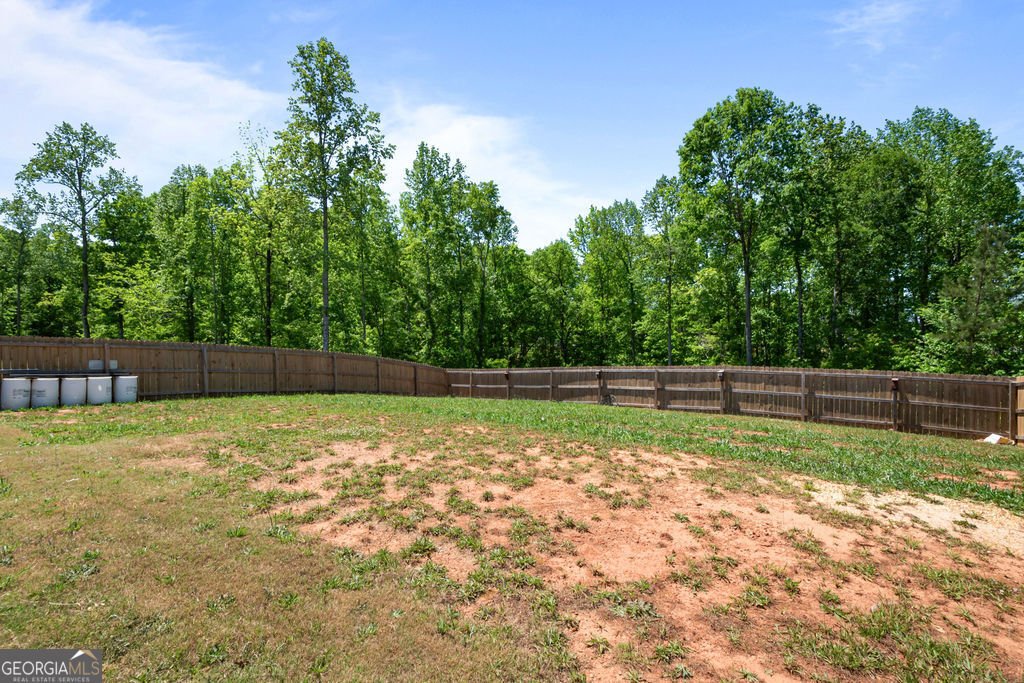 1888 Hunter Welch Parkway Luthersville - Photo 29