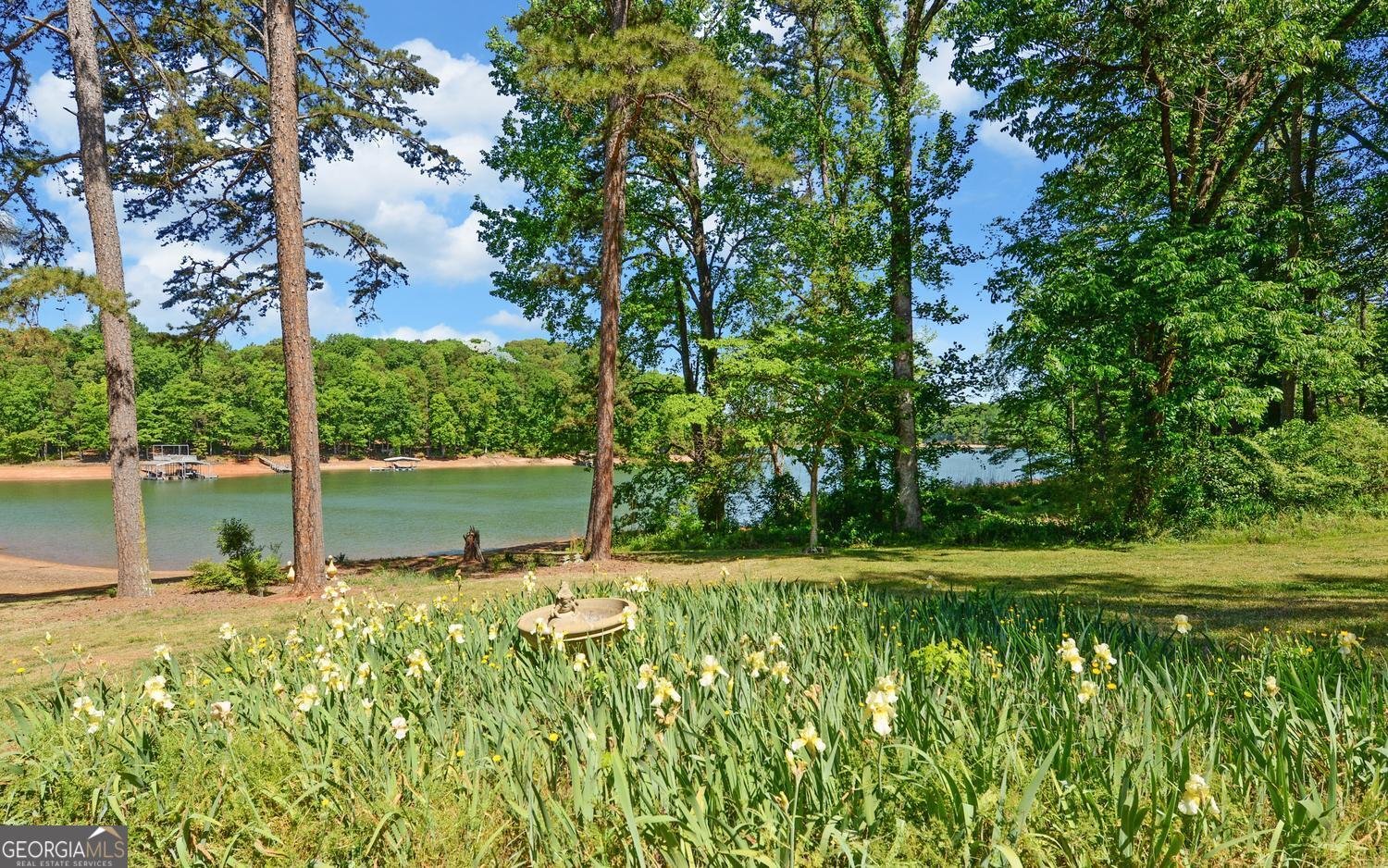 1700 Harbor Light Marina Road Lavonia - Photo 12