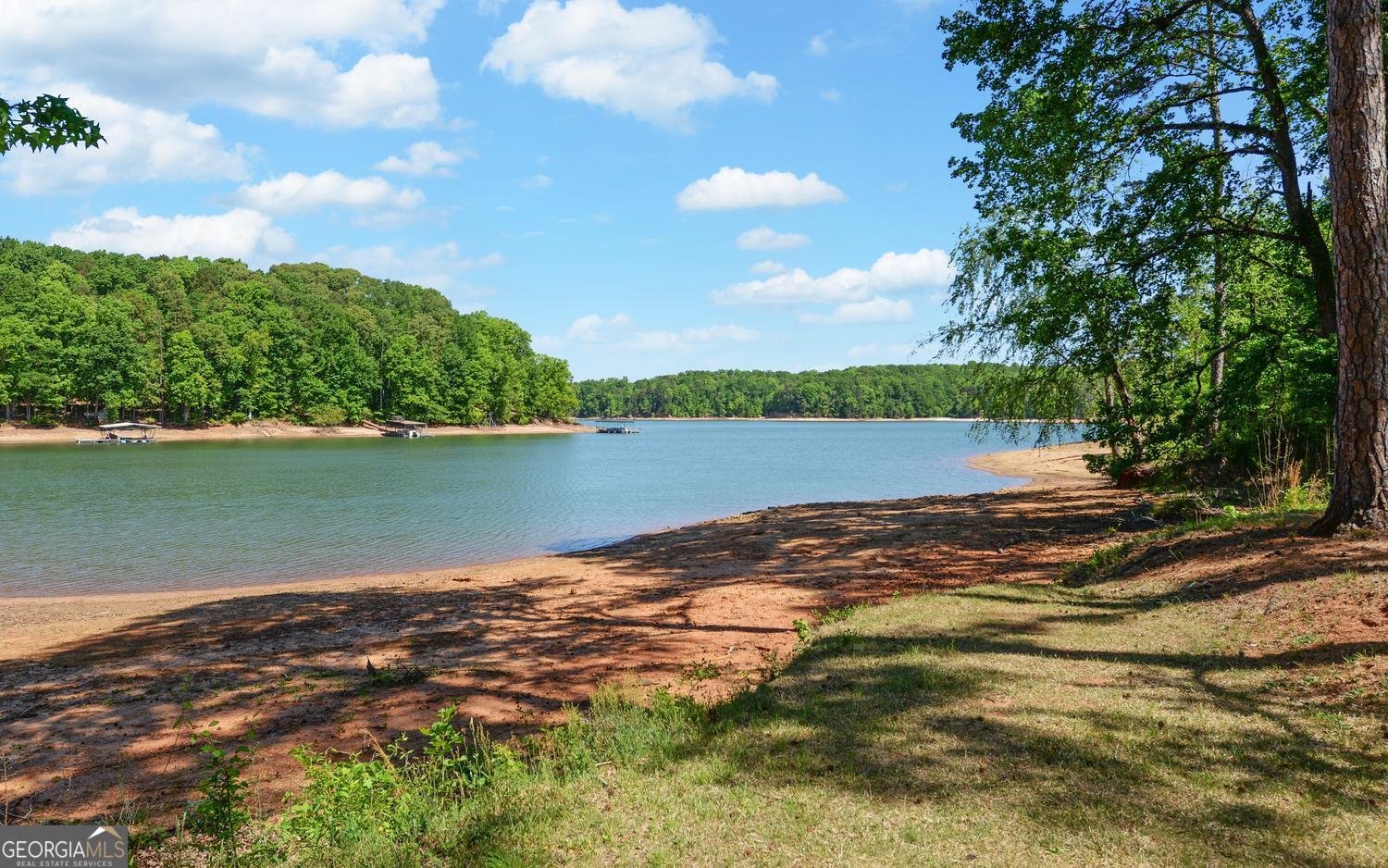 1700 Harbor Light Marina Road Lavonia - Photo 8