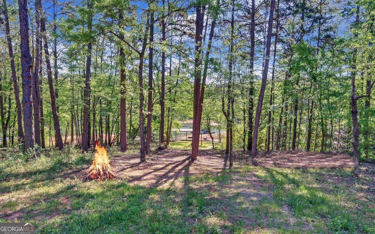 529 Chase Landing Road Martin - Photo 19