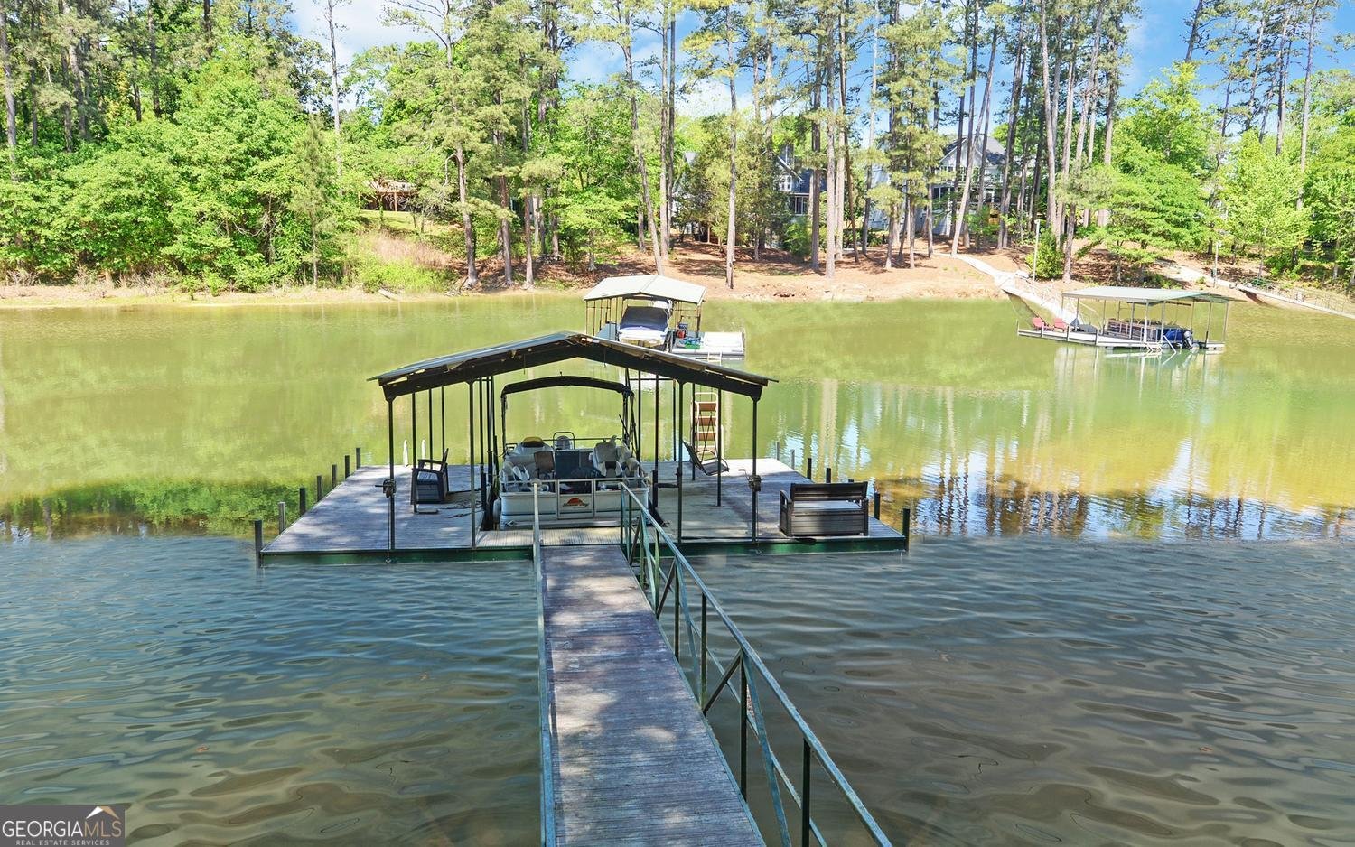 227 Capri Drive Hartwell - Photo 53