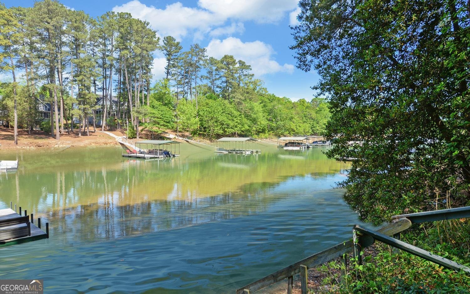 227 Capri Drive Hartwell - Photo 54