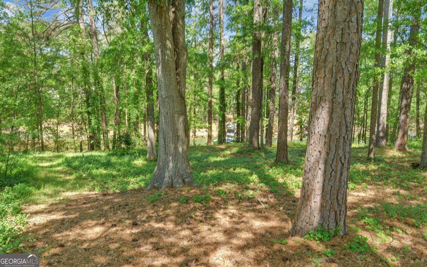 227 Capri Drive Hartwell - Photo 55