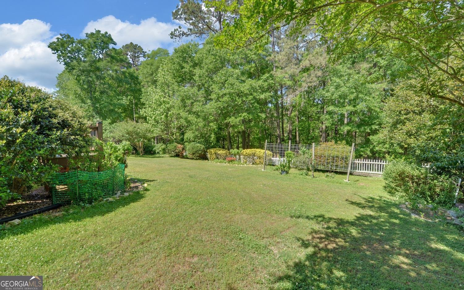 227 Capri Drive Hartwell - Photo 56