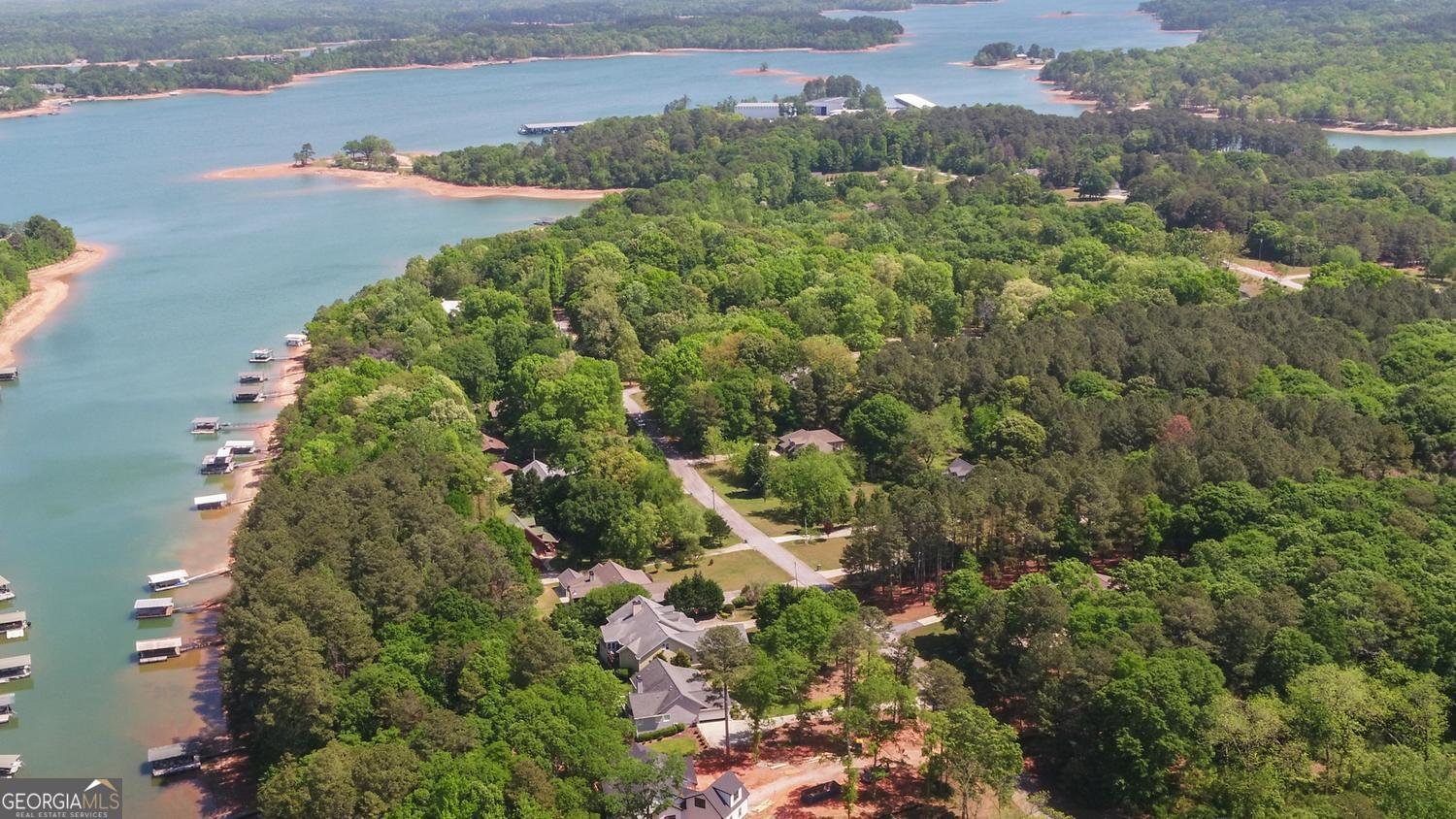 227 Capri Drive Hartwell - Photo 64