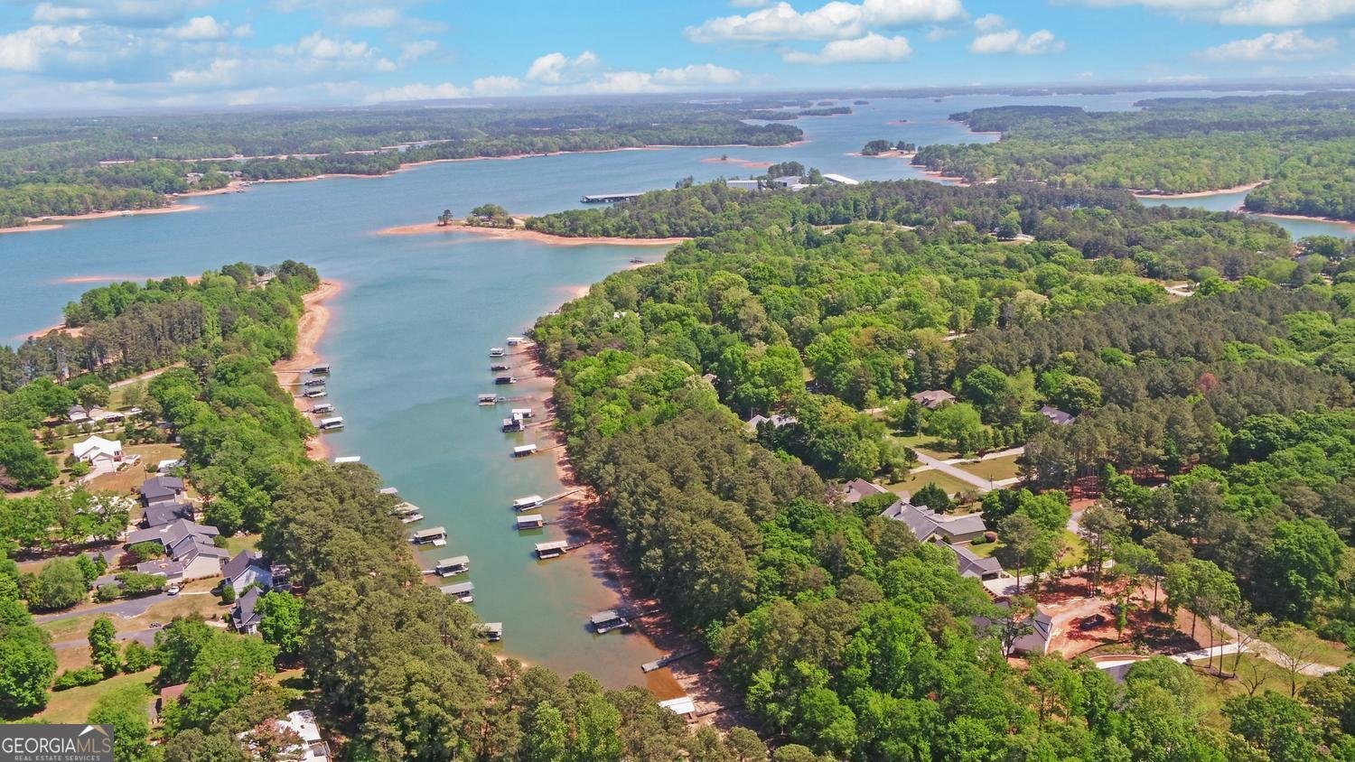 227 Capri Drive Hartwell - Photo 66