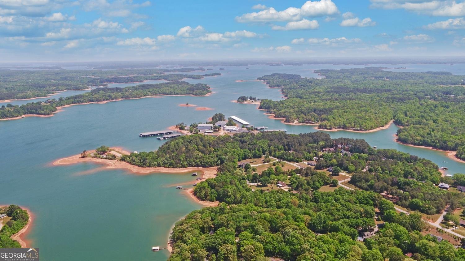 227 Capri Drive Hartwell - Photo 68