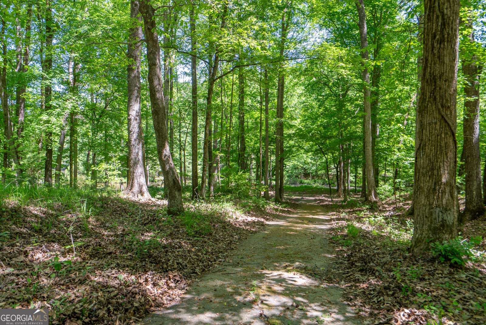 1491 Swords Trail Buckhead - Photo 51