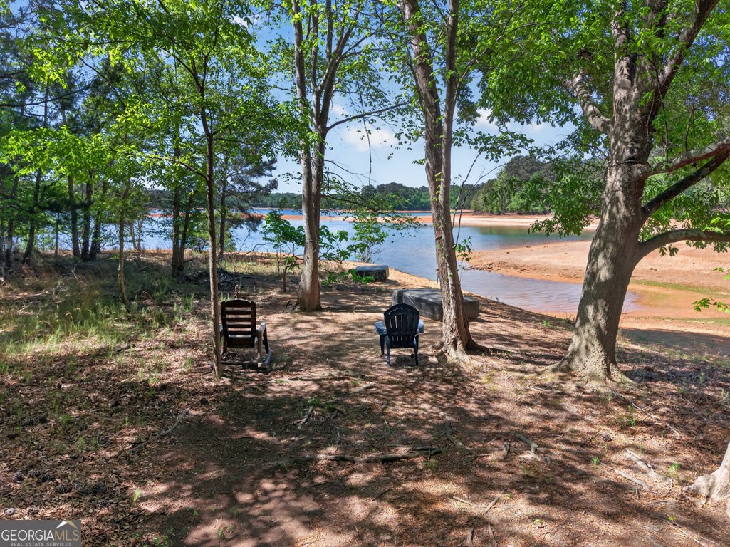 942 Powderbag Creek Road Hartwell - Photo 60