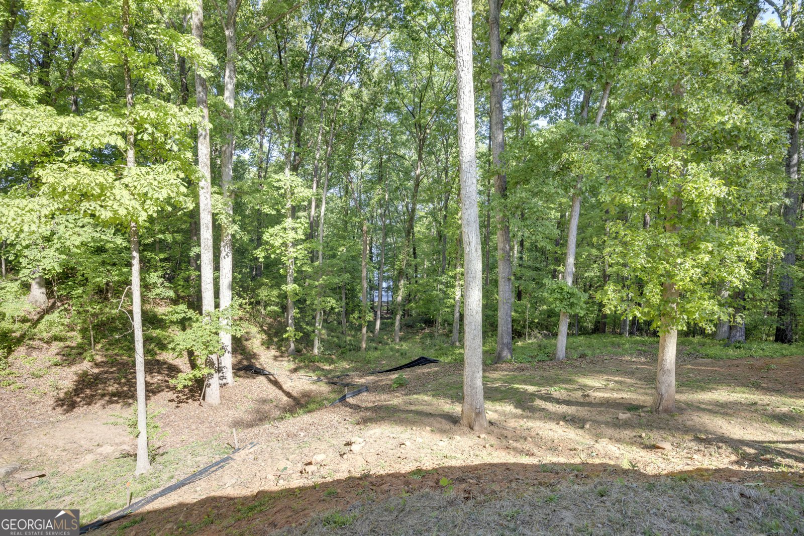 585 Raven Road Monticello - Photo 56