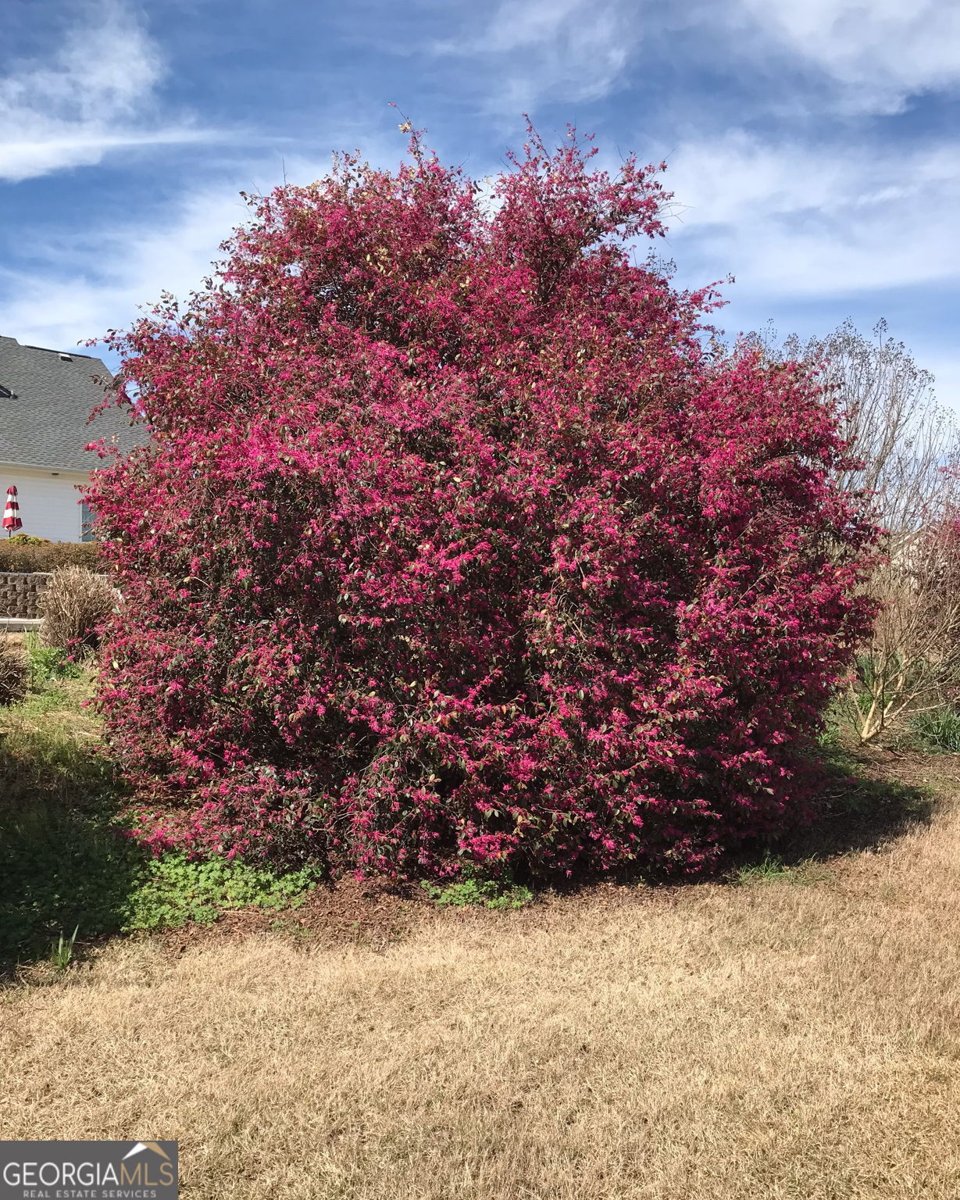70 Austin Drive Williamson - Photo 53