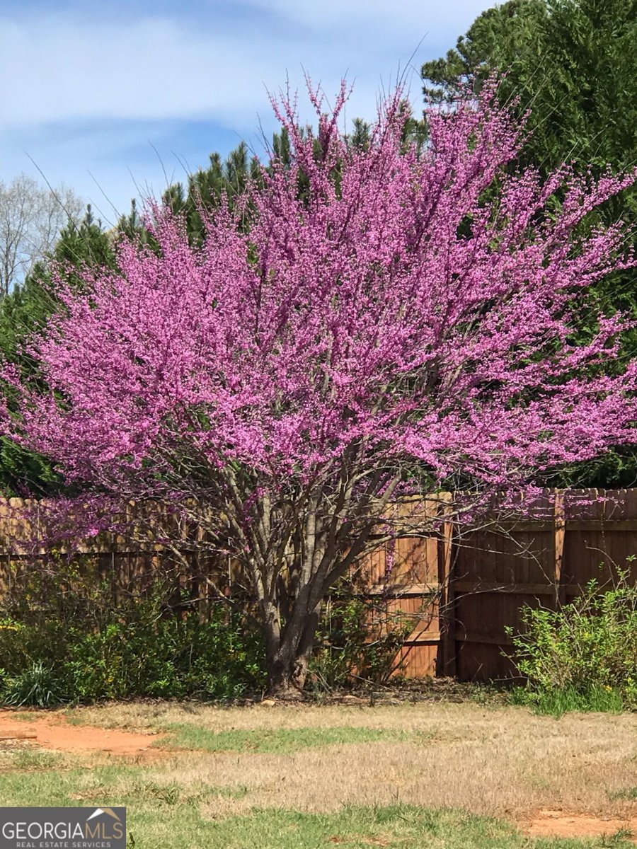 70 Austin Drive Williamson - Photo 54