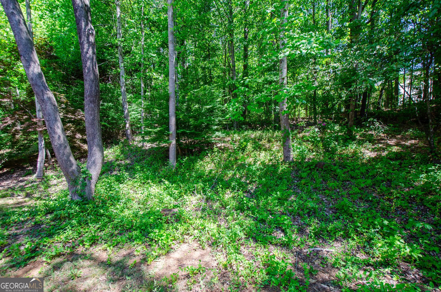 185 Weatherstone Drive Woodstock - Photo 33