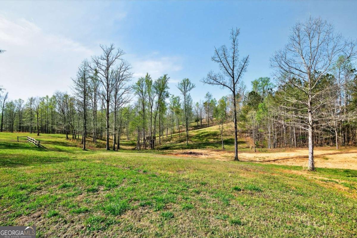 745 Fairmount Road Waleska - Photo 65