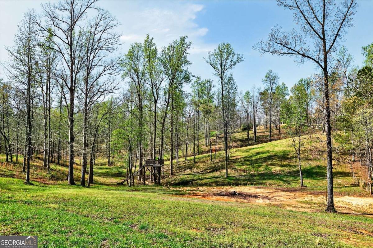 745 Fairmount Road Waleska - Photo 66