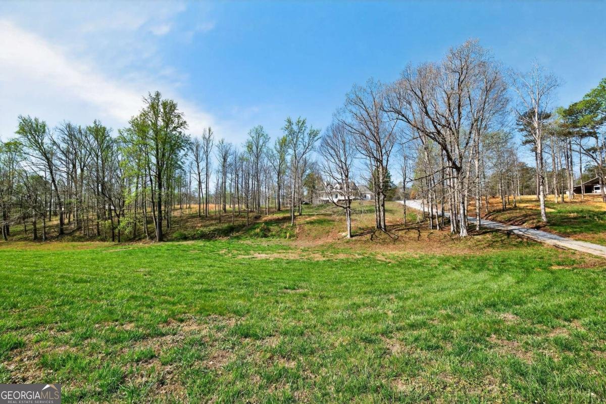 745 Fairmount Road Waleska - Photo 77