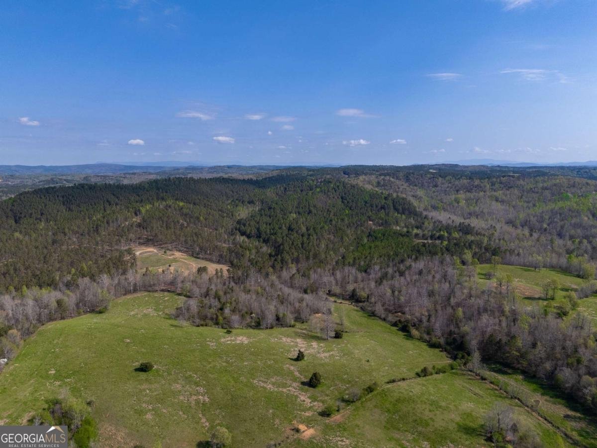 745 Fairmount Road Waleska - Photo 9