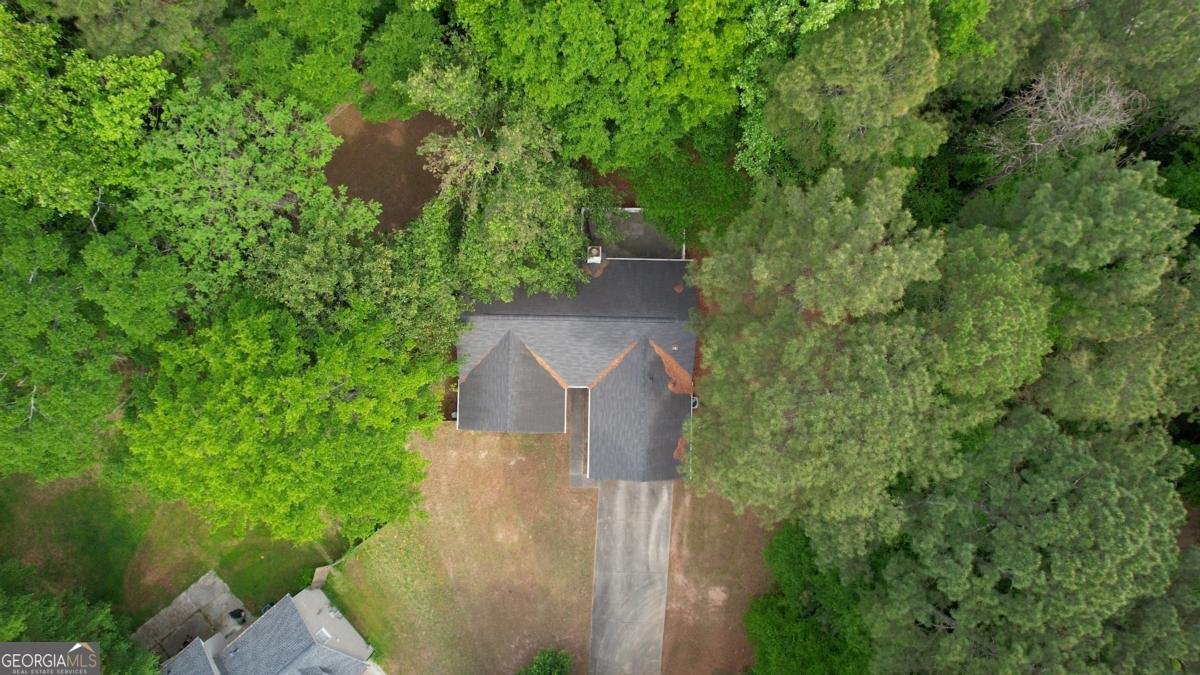 2206 Ridgewood Court Conyers - Photo 42