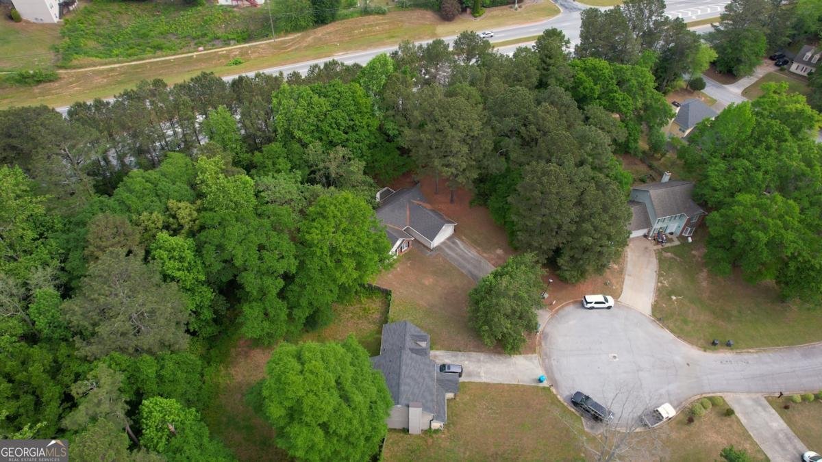 2206 Ridgewood Court Conyers - Photo 47