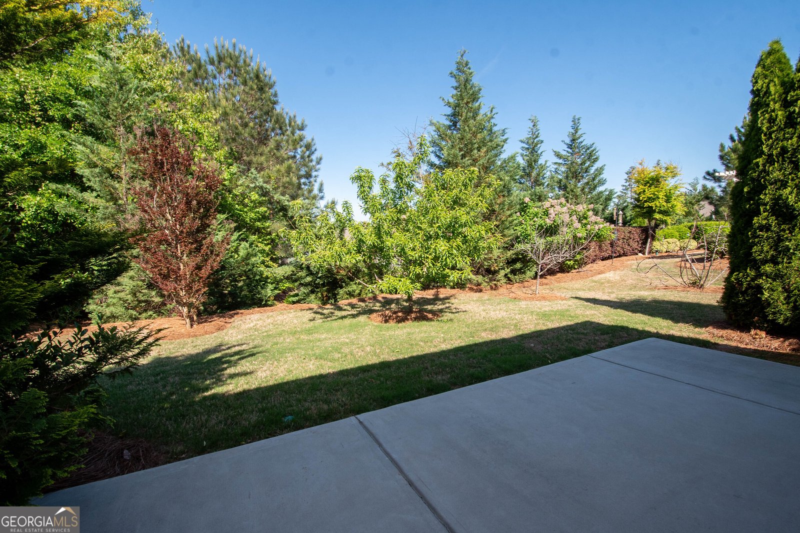 245 Spruce Pine Circle Peachtree City - Photo 32