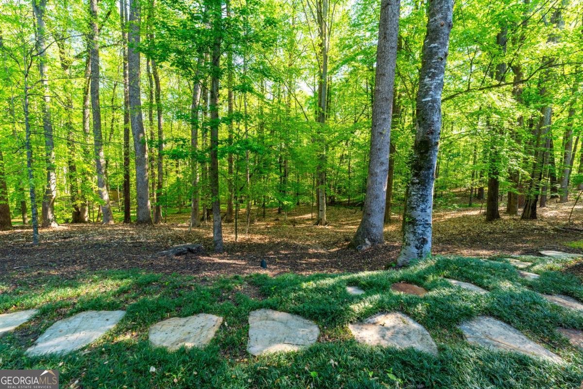 1215 River Laurel Drive Suwanee - Photo 33