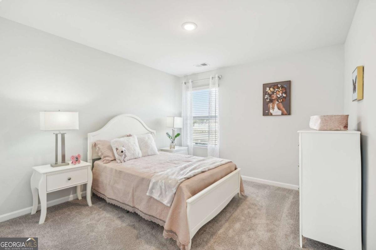 3012 Viewpark Circle Conyers - Photo 44