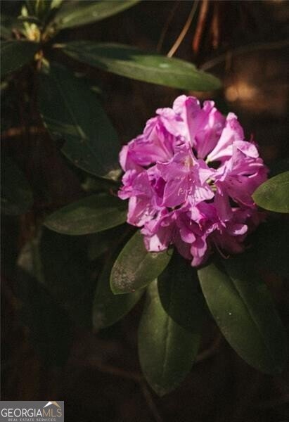 8355 Cedar Grove Road Fairburn - Photo 32